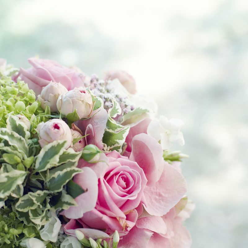 Our Flowers